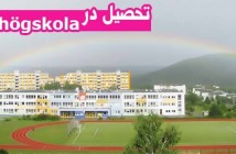 تحصیل در Folkhögskola